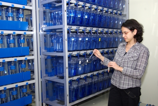 Maayan Zoosman Msc student