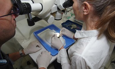 MSR – Israel Center for Medical Simulation