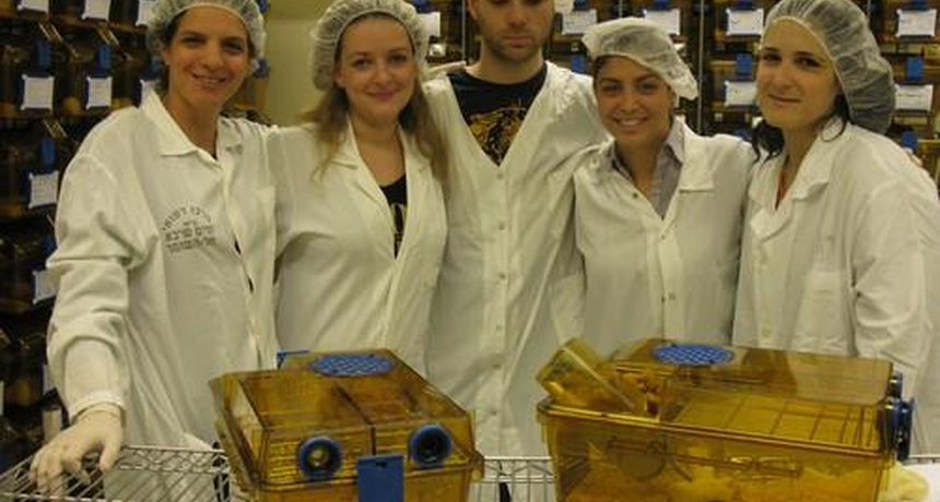 five staff personal in the lab next to boxes