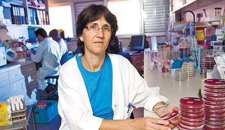Dr Regev Yochay in her lab 